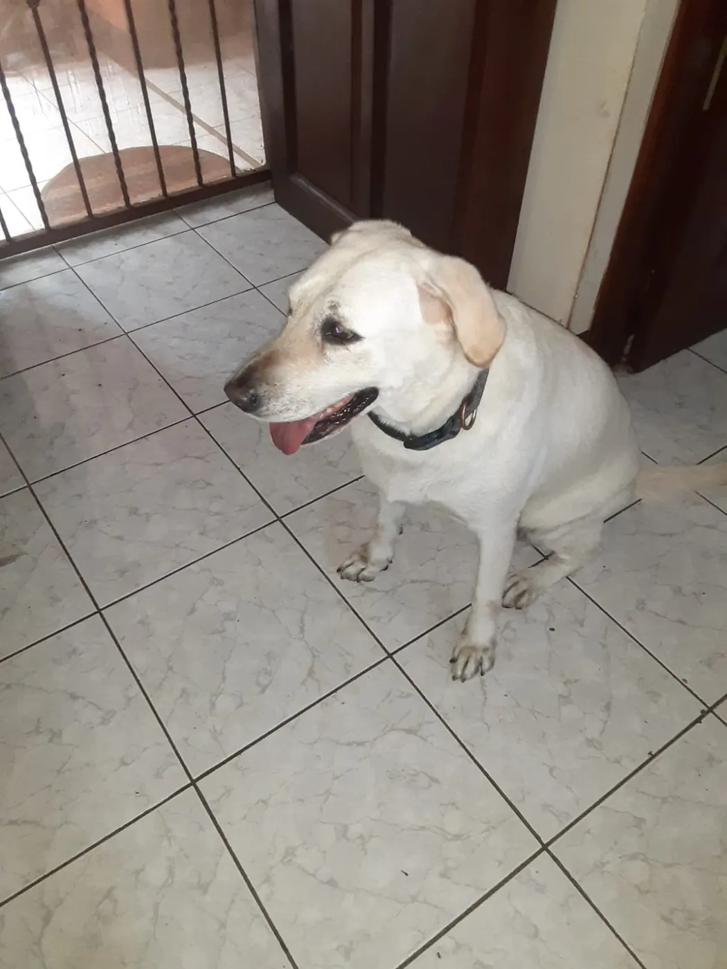 Conchita